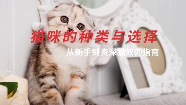 猫咪的种类与选择:从新手到资深猫奴的指南