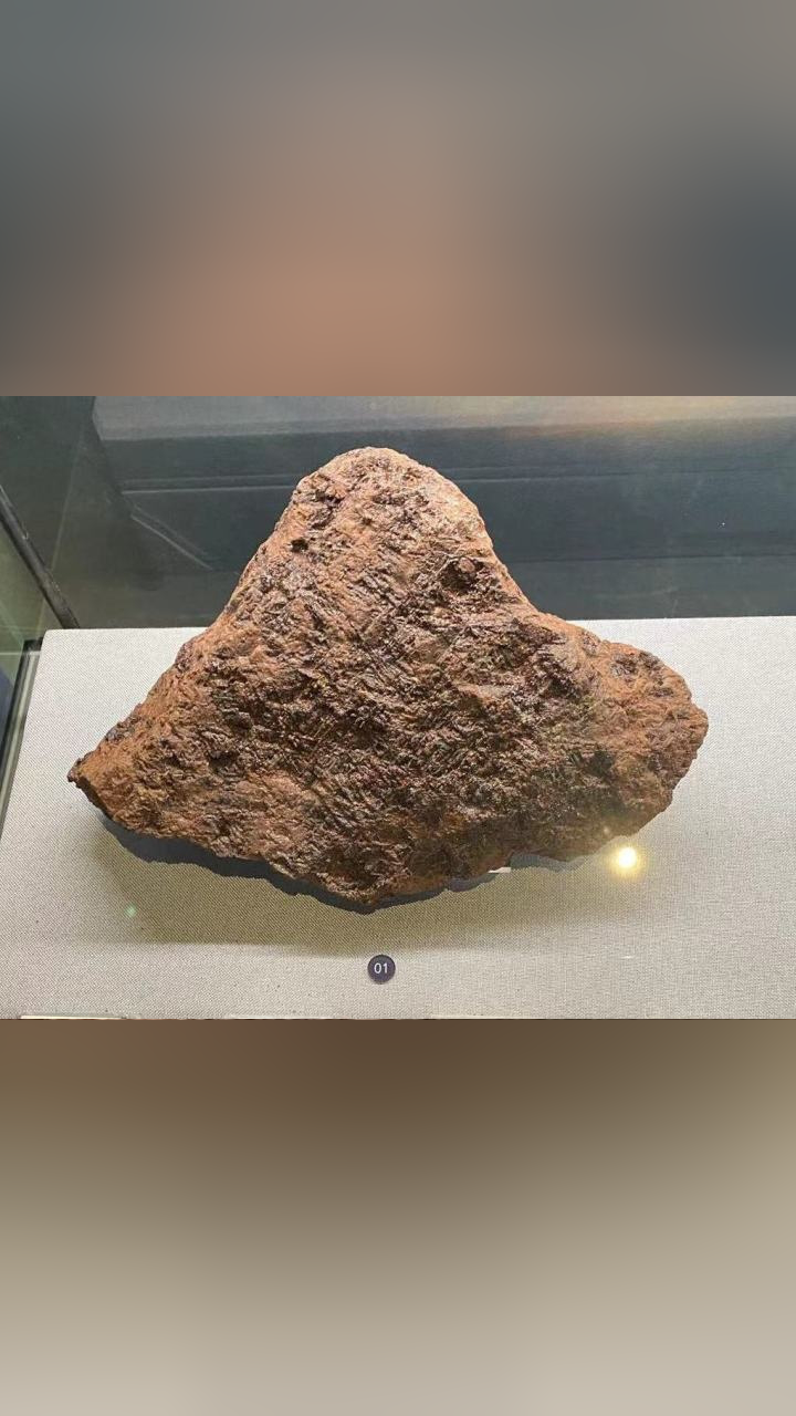 坠落的陨石去哪儿了?潮新闻带你去地质博物馆一探究竟