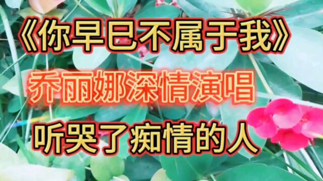 乔丽娜深情歌曲《你早已不属于我》听哭了痴情人!