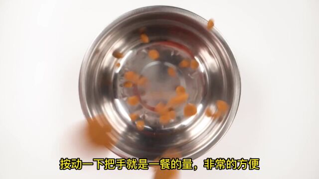 狗狗喂食器