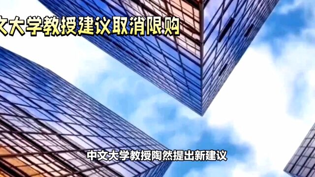 中文大学教授建议取消限购