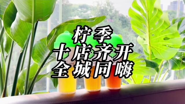 我最爱喝他家柠檬茶,现在还有羊毛可以薅#柠季 #柠季手打柠檬茶 #柠季成都全城同庆 #仙女都在喝什么 #心动五一