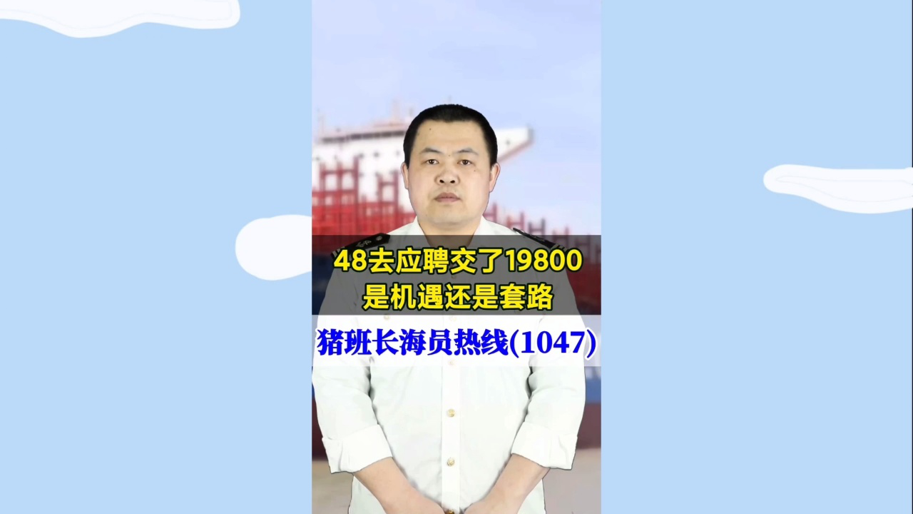 48去应聘交了19800，是机遇还是套路(猪班长海员热线1047期)