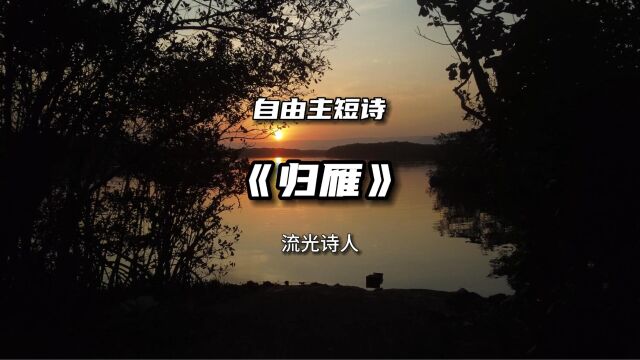 情感感悟短诗《归雁》短诗作品欣赏,来过这原没有风景的地方