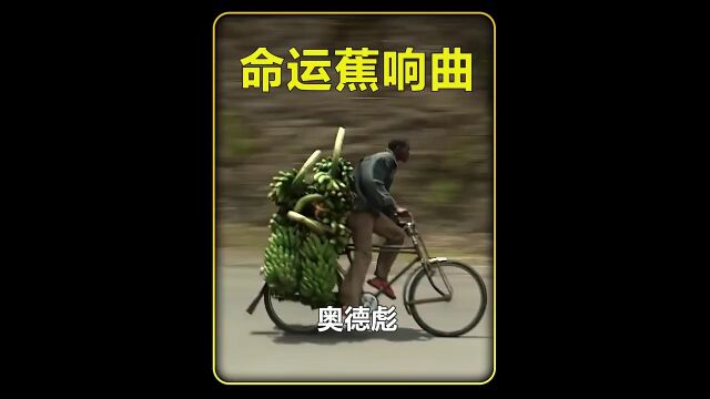 老表在非洲