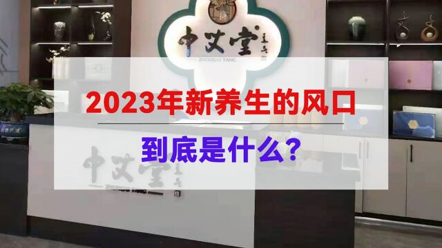 2023年新养生的风口到底是什么?