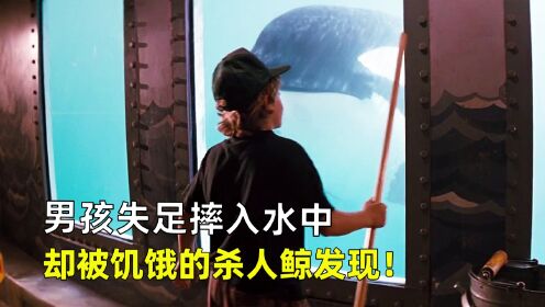 男孩失足摔入水中，却被饥饿的杀人鲸发现，结果鲸鱼却救了他！