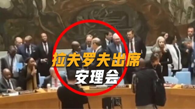 拉夫罗夫作为联合国会议的参会者,在会场上引人注目