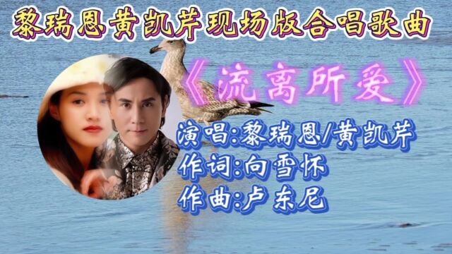 重温黄凯芹黎瑞恩合唱歌曲《流离所爱》唯美歌声,动听优美旋律,勾起多少人青春回忆!