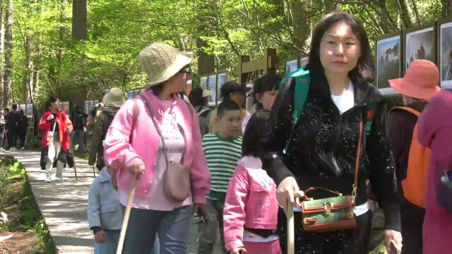 游客体验感好满意度高!黄山风景区“限量、预约、错峰”成效明显