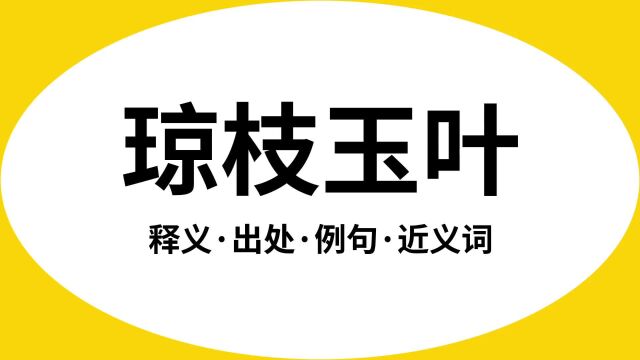 “琼枝玉叶”是什么意思?