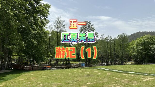 小鱼讲江夏故事第一集,五一游记探访武汉市江夏区熊廷弼美景