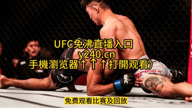 UFC格斗之夜高清直播:宋亚东vs西蒙在线观看宋亚东全程直播格斗之夜