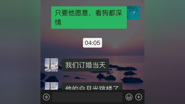 落地的花瓣 #小说推文 #推文助手 #聊天记录 #女生必看