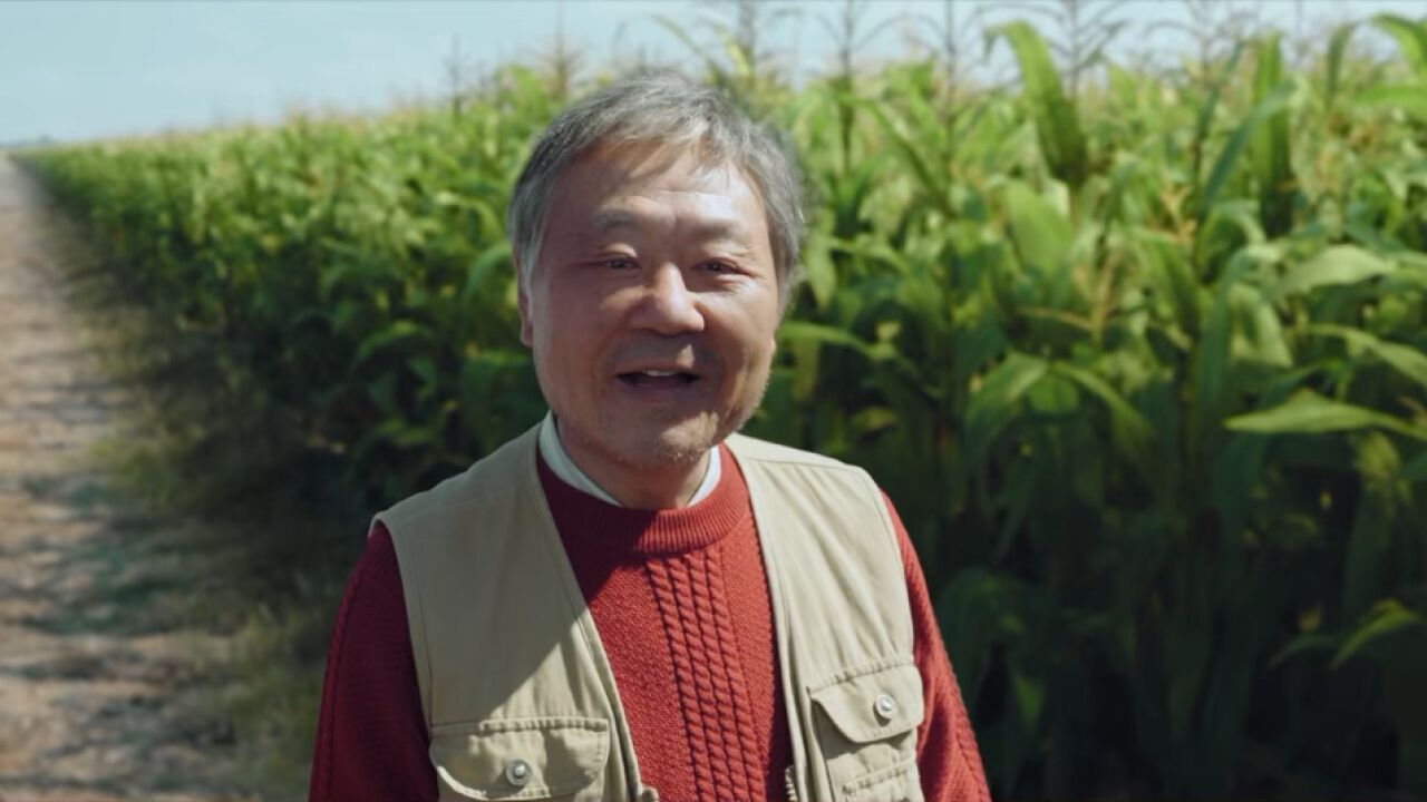 往前看,别回头#漫长的季节_高清1080P在线观看平台_腾讯视频