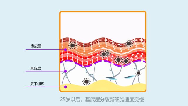 你知道“衰老因子”是什么吗?