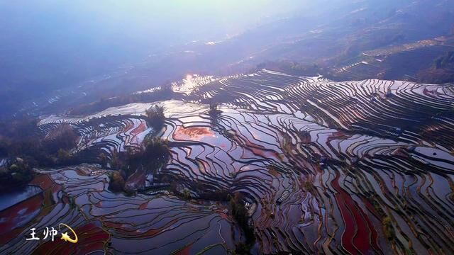 红河哈尼族彝族自治州,州长“罗萍”亲自题词:千年哈尼梯田,是红河沉淀的诗情与浪漫,欢迎到红河,筑梦起航.