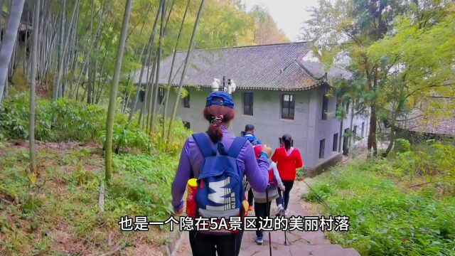 雪窦山红枫,5A景区边,漫山红遍