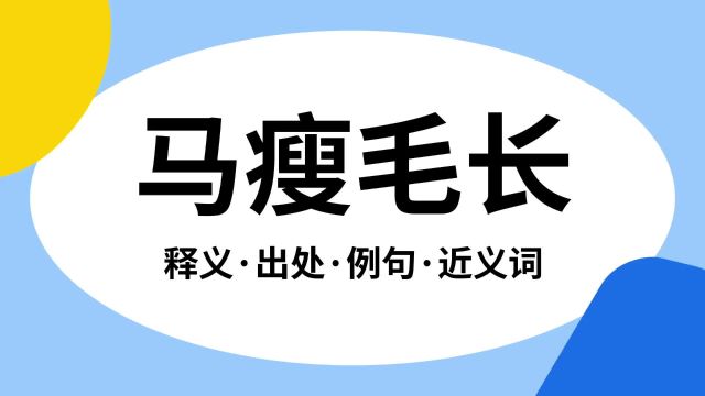 “马瘦毛长”是什么意思?