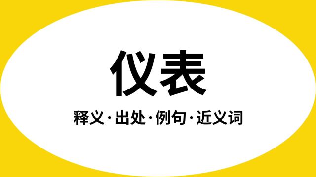 “仪表”是什么意思?