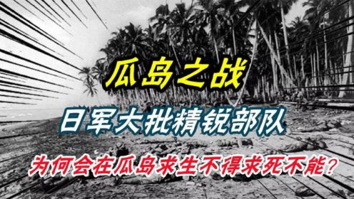 瓜岛之战，日军大批精锐部队，为何会在瓜岛求生不得求死不能（2）