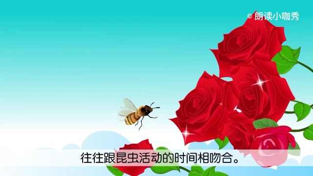 课文《花钟》:花也有生物钟?这是怎么回事?一起来朗读课文《花钟》吧! 