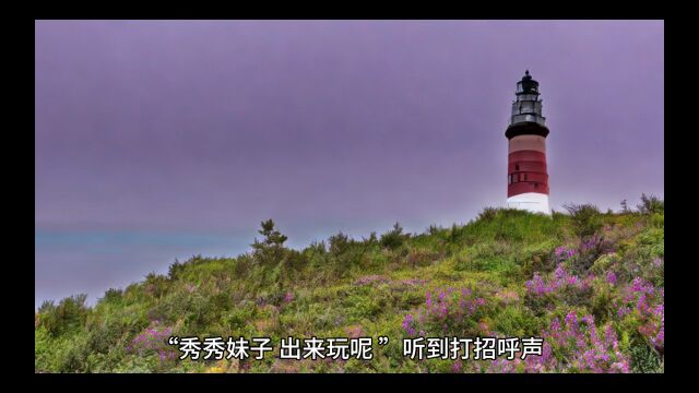 必读火书《军婚娇宠: 我靠十八个爷爷躺赢了》王秀秀小说全集