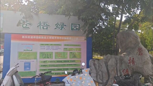 连云港苍梧绿园,绿意仍盎然的市中心公园,暂离城市喧嚣之处