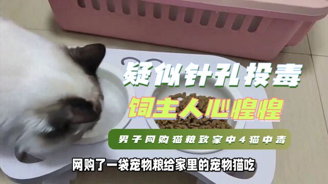 男子网购宠物粮致家中4猫中毒,疑似针孔投毒!惹饲主们人心惶惶