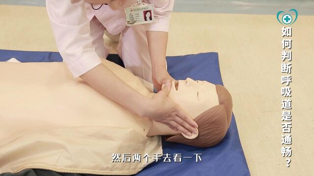 CPR教学科普