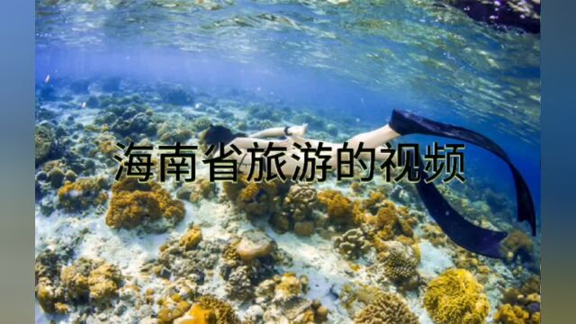 海南岛旅游的视频