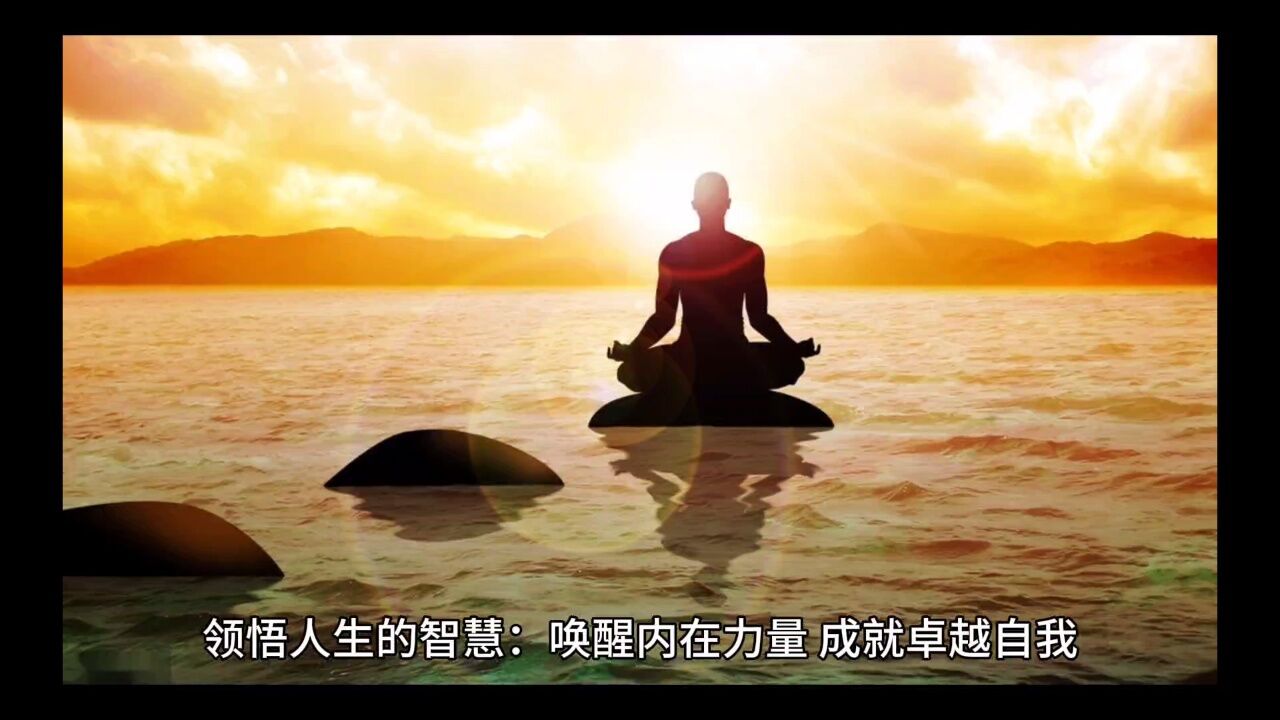 领悟人生的智慧:唤醒内在力量,成就卓越自我