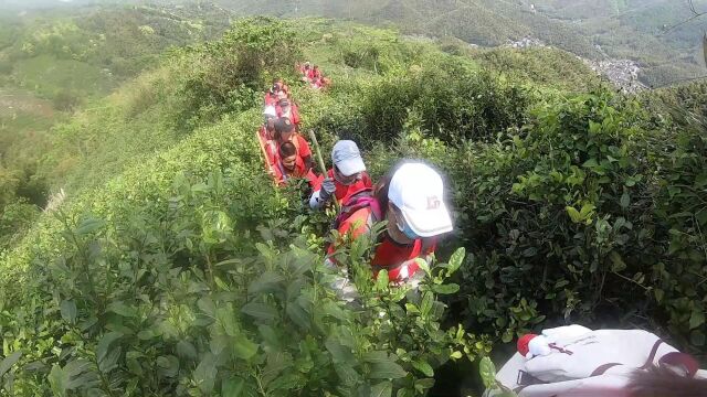 上海徒步身边的登山群驴友群 旅游健身 潘岙村古道10上海快乐徒步爬山户外