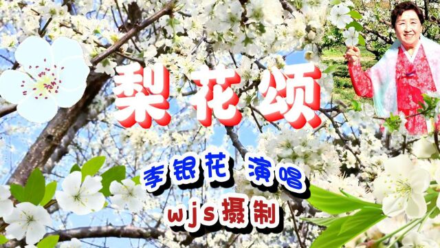 梨花颂李银花登上CCTV中央电视舞台演唱的歌曲wjs摄制