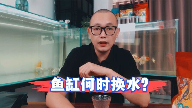 鱼缸换水如何判断水质?换水频次要怎么掌握?