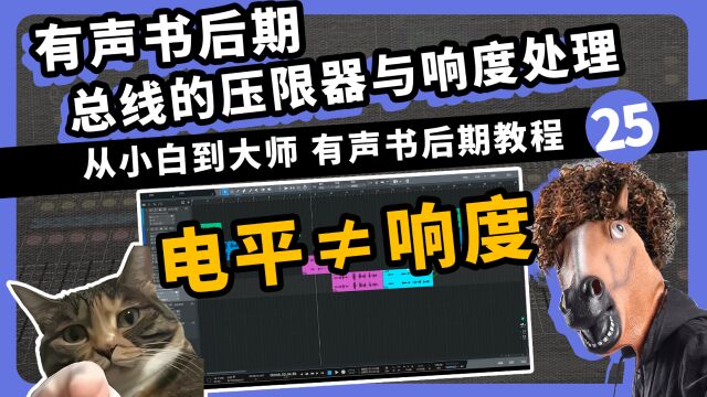 有声书后期 总线的压限器与响度处理 25集 从小白到大师有声书后期教程 愤怒的调音师 声卡话筒测评 广播剧