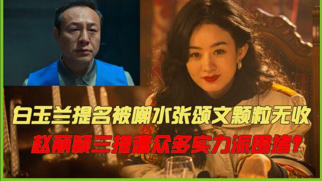 白玉兰提名被嘲水?张颂文一句话揭开遮羞布,赵丽颖惨遭围堵?