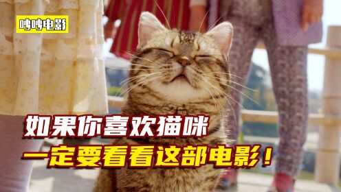 超级治愈的日本电影《猫与爷爷》（中）
如果你也爱猫，那一定要看看这部电影！猫咪会治愈你所有的不开心