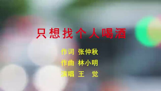 只想找个人喝酒 作词 张仲秋 作曲 林小明 演唱 王觉