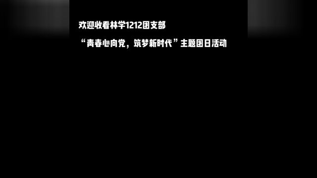 青春心向党,筑梦新时代主题团日活动