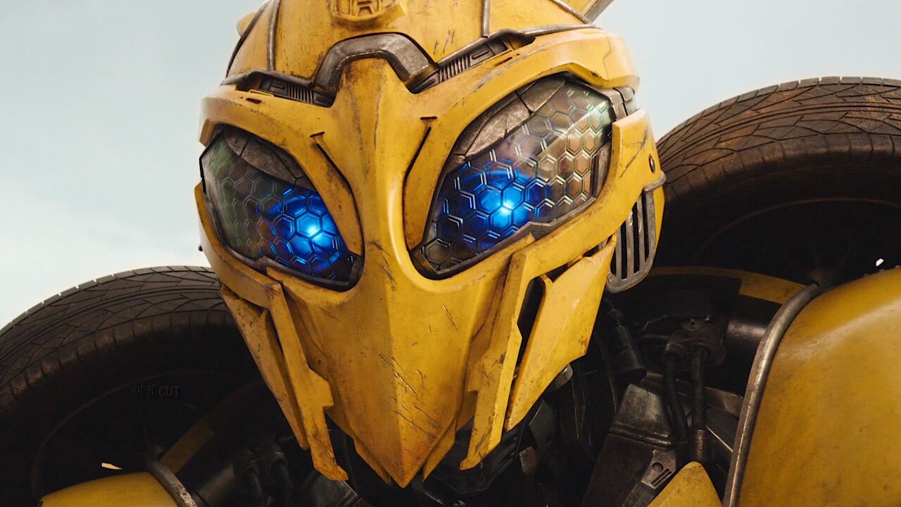 见过帅气的大黄蜂,这么蠢萌的大黄蜂还是第一次见