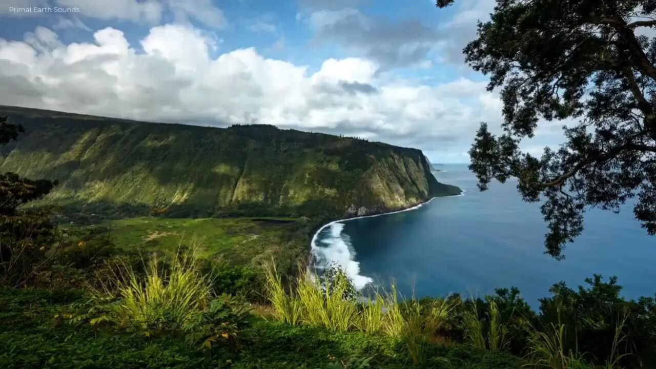 ben platt,laura dreyfuss,will roland,kristolyn lloyd - you will