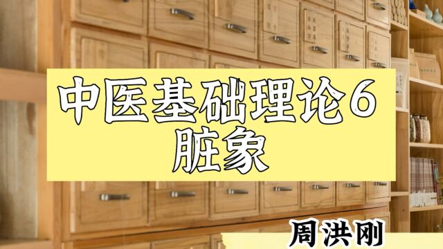 【中医基础理论】第六讲——脏象(下集)