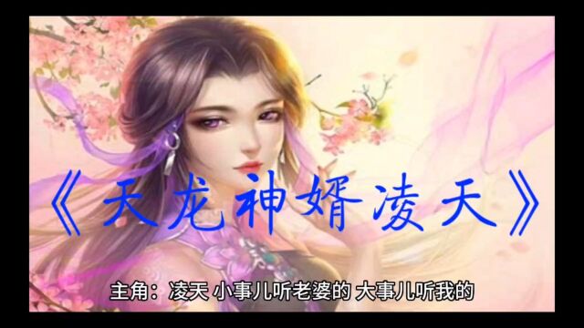 《天龙神婿凌天》完整版(全文免费阅读)