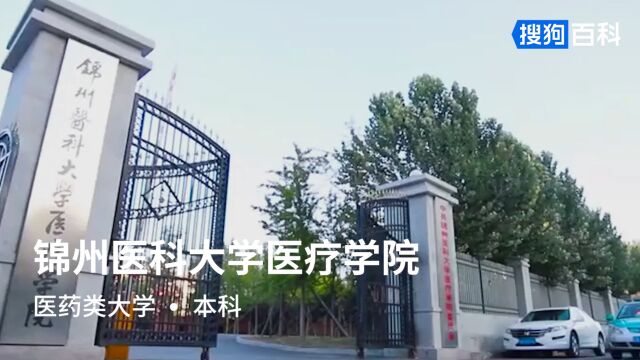 锦州医科大学医疗学院:厚德修身,精术济世