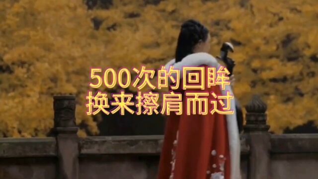 500次的回眸,换来擦肩而过