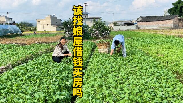 龙哥为买房打起飞飞娘屋主意,飞飞却这样讲,姐妹们你们如何看待