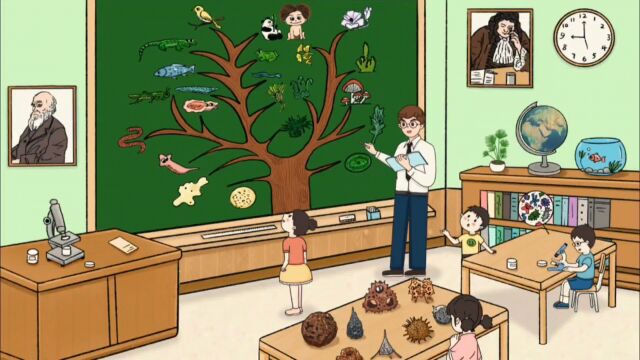 这样的小学生生物课,你喜欢吗?