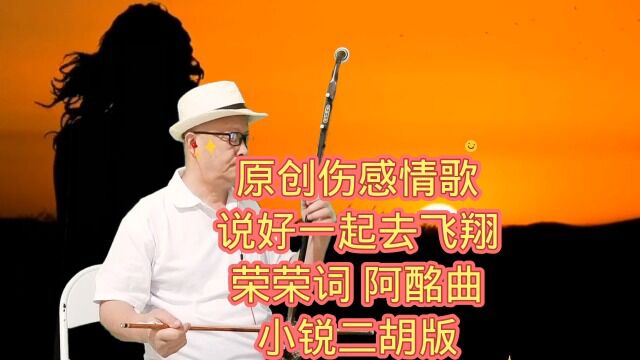 经典原创伤感情歌 说好一起去飞翔 荣荣词 阿酩曲 小锐二胡版