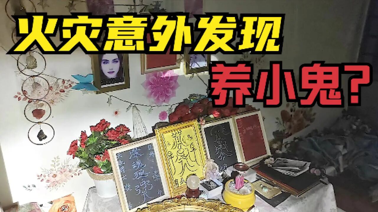 张柏芝养小鬼图片